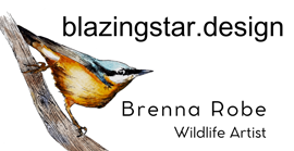 Blazing Star Design